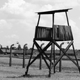 Auschwitz Birkenau / © www.morguefile.com. Autor: western4uk Auschwitz Birkenau