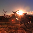 Tandem. © PsJeremy - back to Terra Australis/flickr.com / Tandem. © PsJeremy - back to Terra Australis/flickr.com Tandem. © PsJeremy - back to Terra Australis/flickr.com