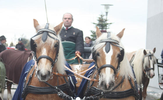 Leonhardiritt 2015