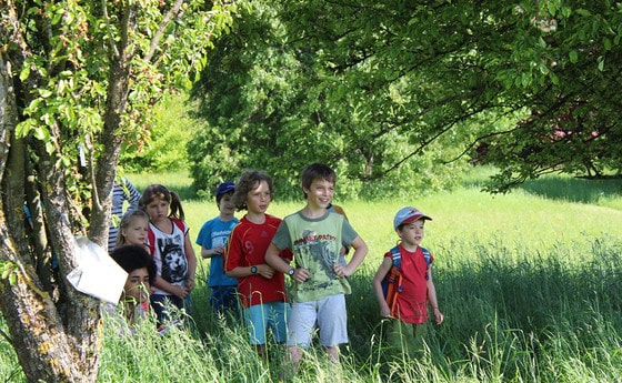 Die Schnitzeljagd der Jungschar auf dem Freinberg